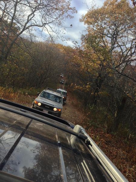 Lead 7 fj cruisers up only 4runner there felt like papa bear haha
