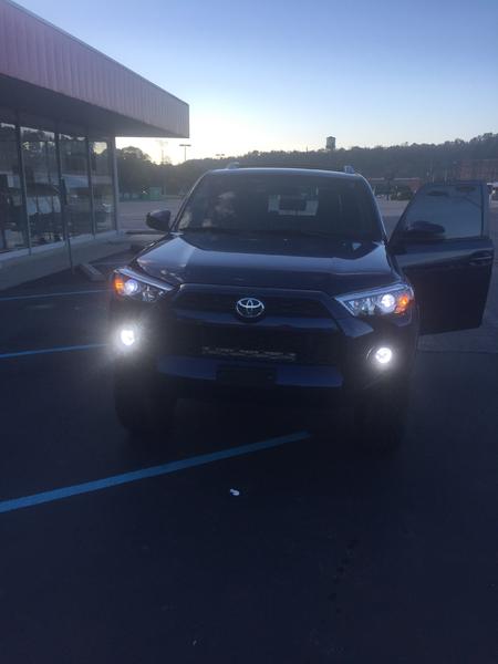 LED Fogs and Low Beams