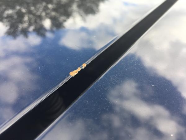 Liftgate rust 2
