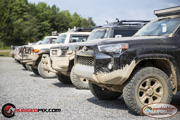 Lined up at the Appalachian Toyota Roundup 2015
