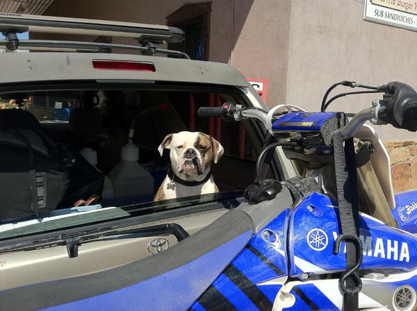 Loaded up with everything I need for a great weekend