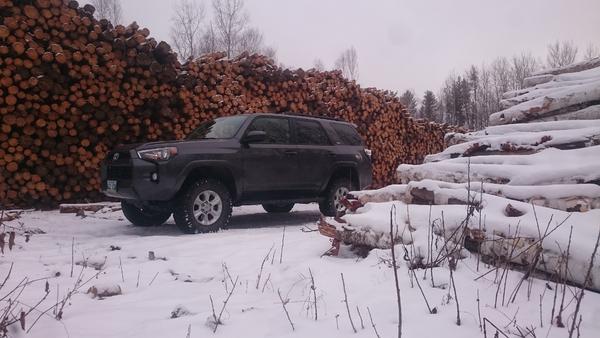 logging roads