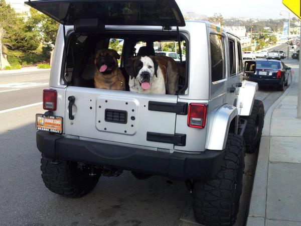 Lola & Titan