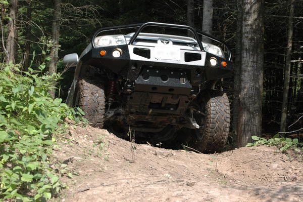 Look a new Bumper
