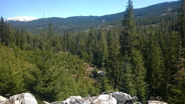 Looking for the Elaho Giant about 2km west of where we should be looking...
