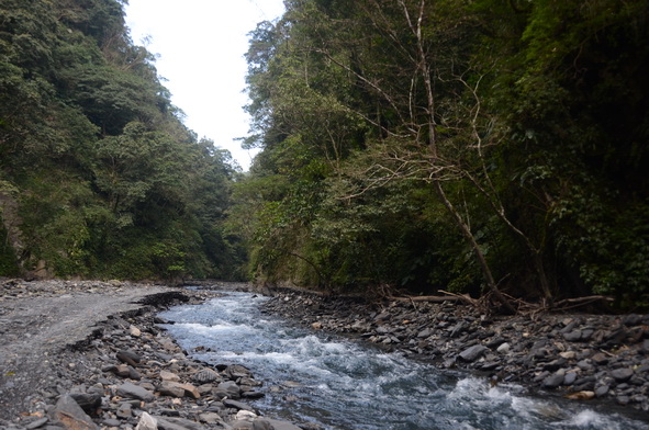 Lots of rivers to follow.
