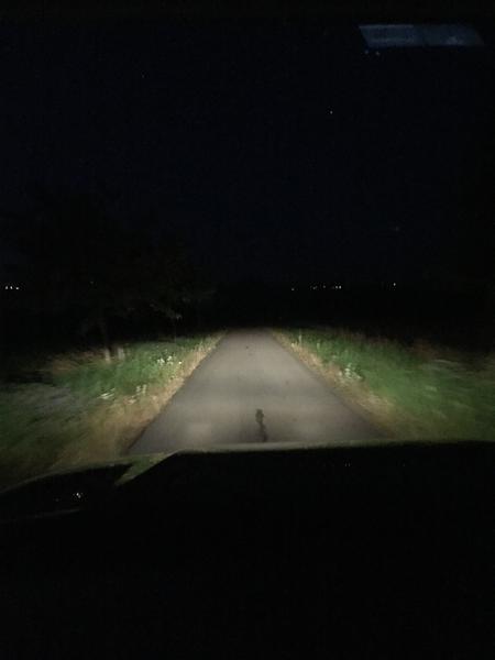 Low Beam