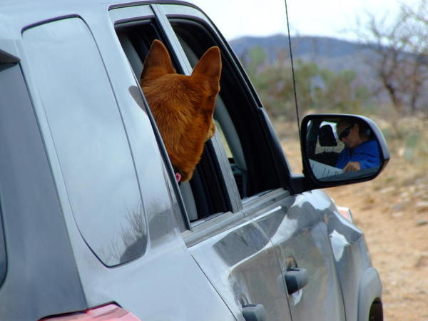 MariaMirror4Runner
