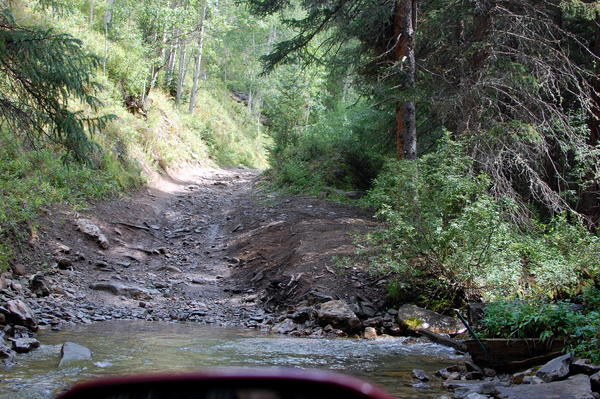 McCallister Gulch