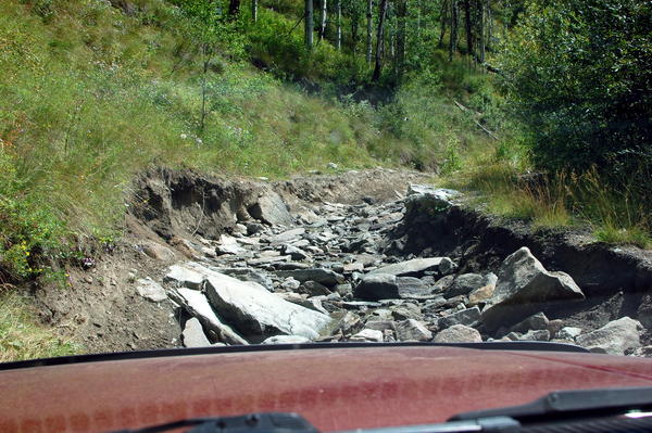 McCallister GUlch