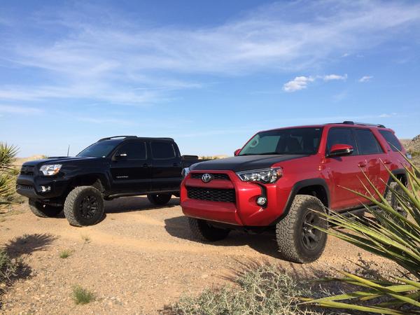 Me and my neighbors Taco
