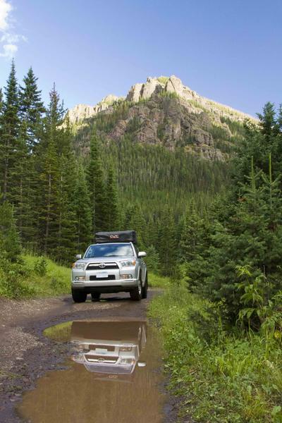 MG 2932