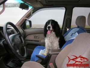 micki in 4runner
