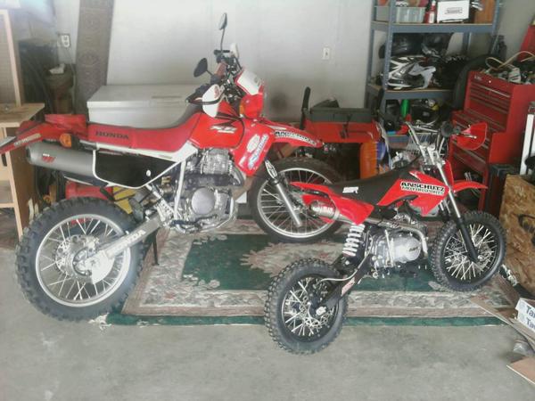 mms picture 2 (1)