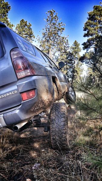 mogollon rim, AZ