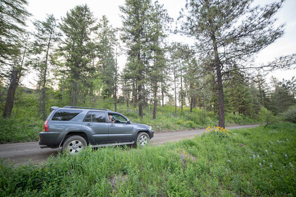 Mountain Home Road, Blewett Pass, WA