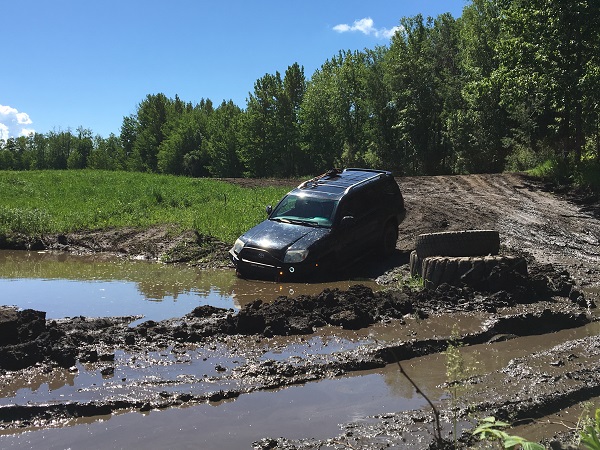 Mudding