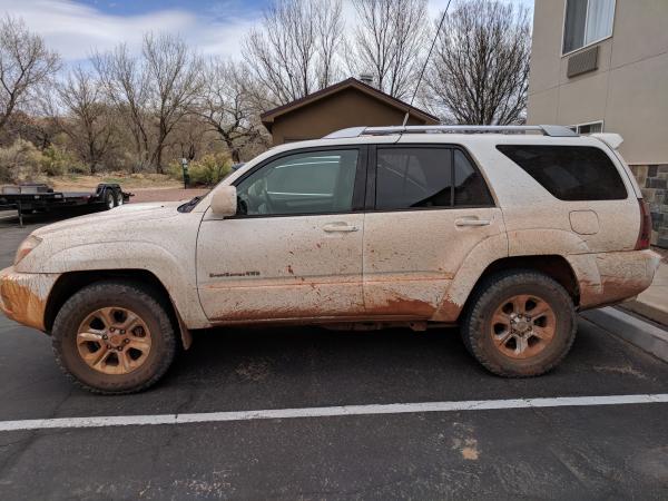 muddy
