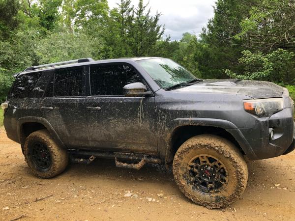 Muddy
