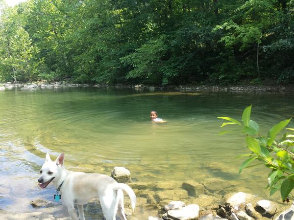 My 2 passengers at the swimming hole.