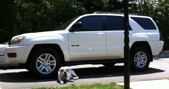 My boy Baxter guarding his ride