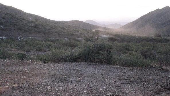 My dust hangs for miles on beeline.