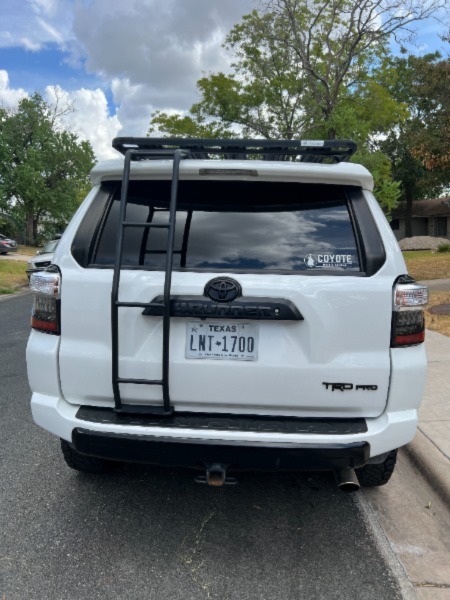 My project (17)