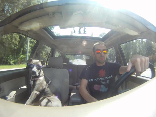My sweet pup Lola. shot on my GoPro Hero 3