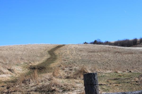 Nearing Summit of Max Patch