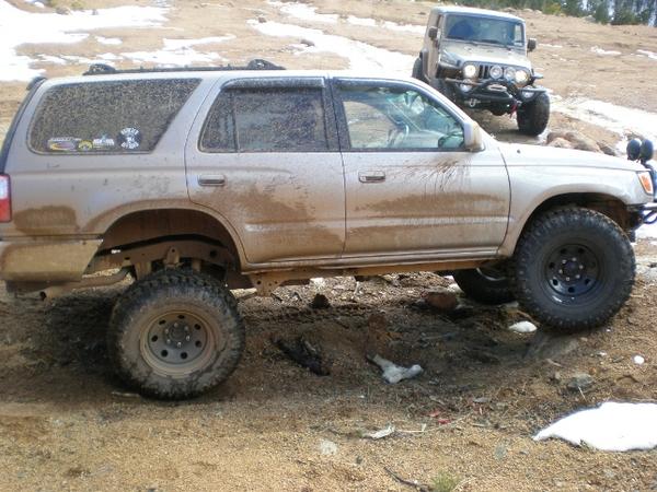 new flex pic