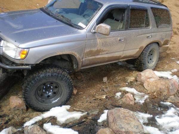 new flex pic