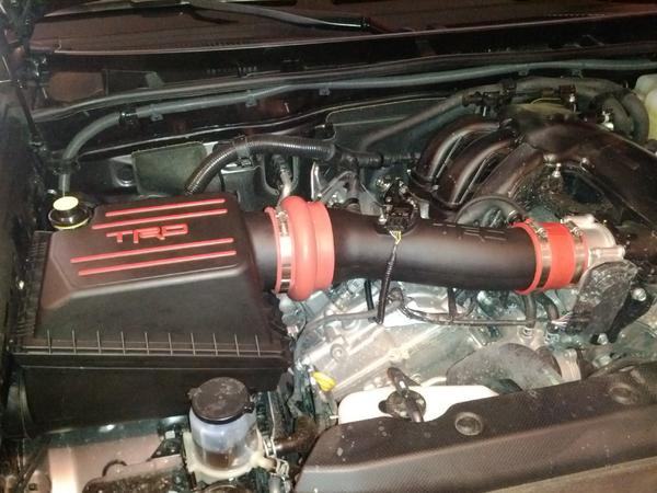 new intake
