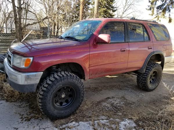 New meats