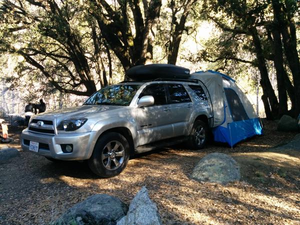 New tent for camping with the Runner.