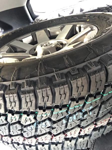 New Trail wheels wrapped in Nitto Graplers