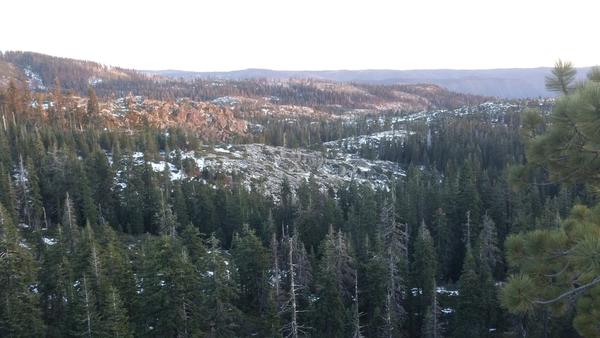 Nor cal