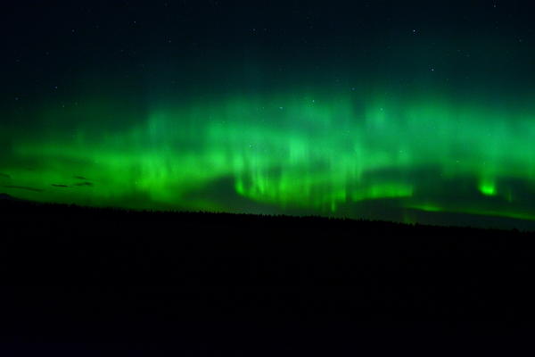 Northern Lights near Calgary AB