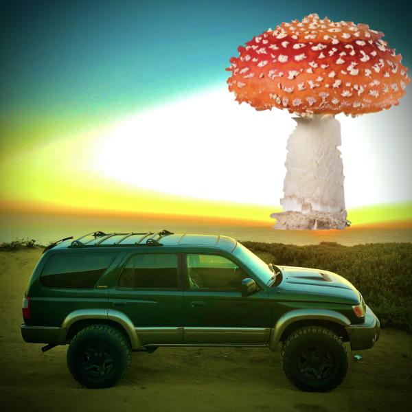 Not a Hippy