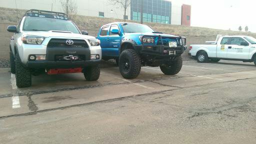 Not-Black-Betty has a Taco friend.