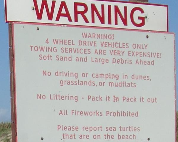 Not sure what's wrong with Turtle's being on the beach