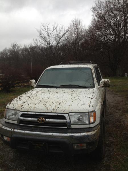 Now she needs a bath...