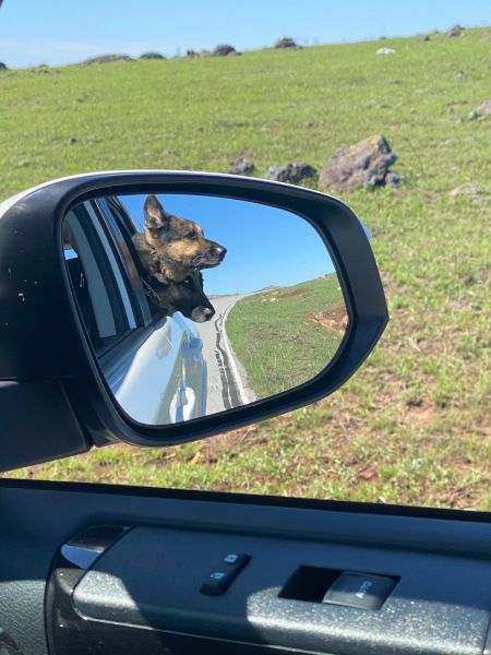 Objects in mirror are closer than they appear.