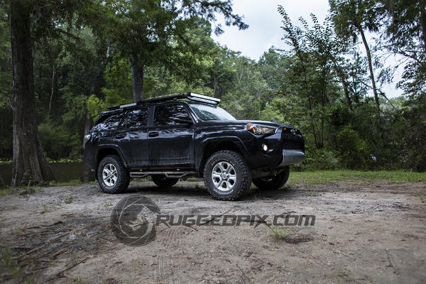 Ocala National Forest