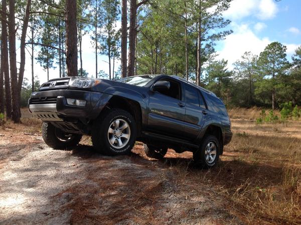 Ocala National Forest