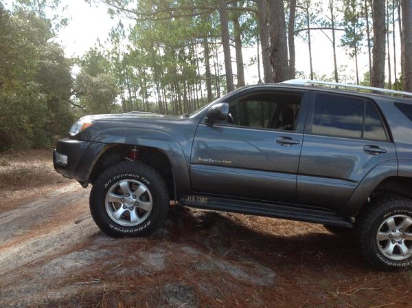 Ocala National Forest