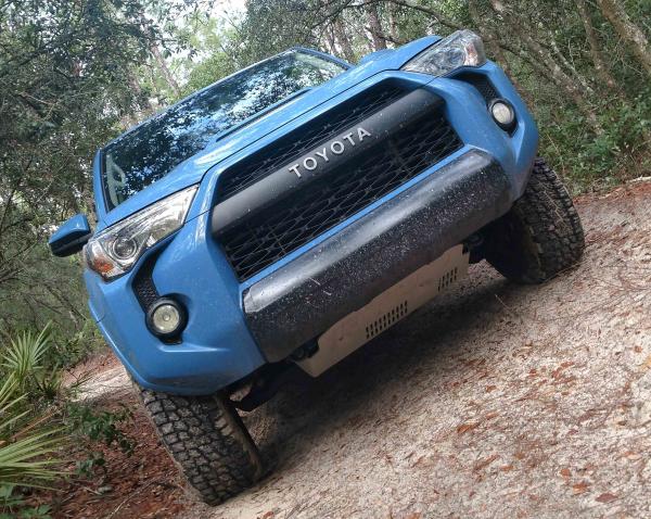 Ocala National Forest