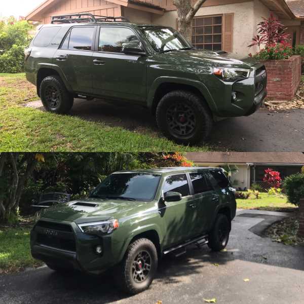 OdieBefore After