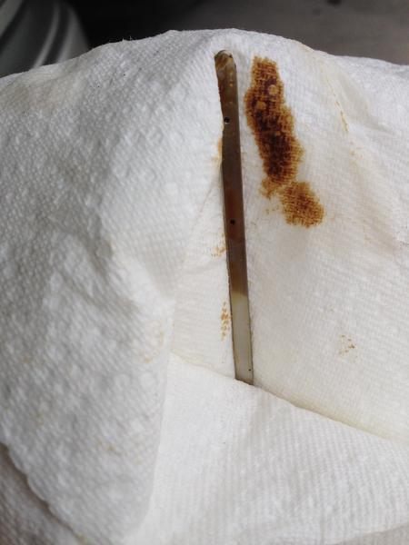 oil dipstick