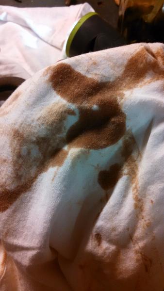 Oil from the inside the intake.