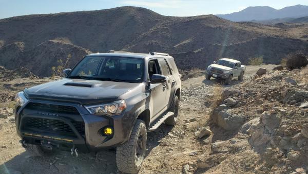 Old Dale Road Joshua Tree